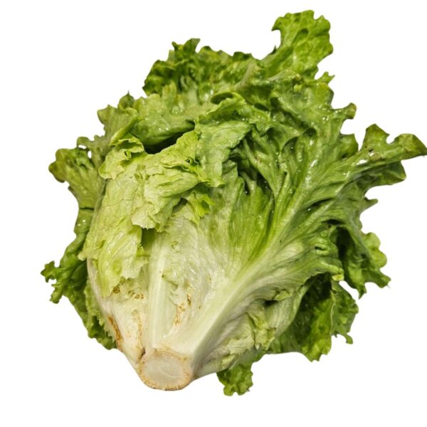Salata eko 1 kg